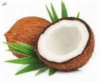 Coconut