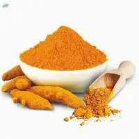 Turmeric Powder