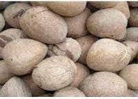 Ball Copra