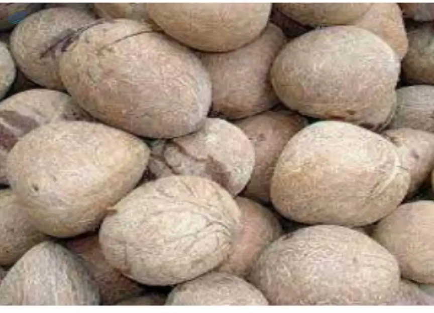 Ball Copra