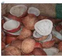 Coconut Copra