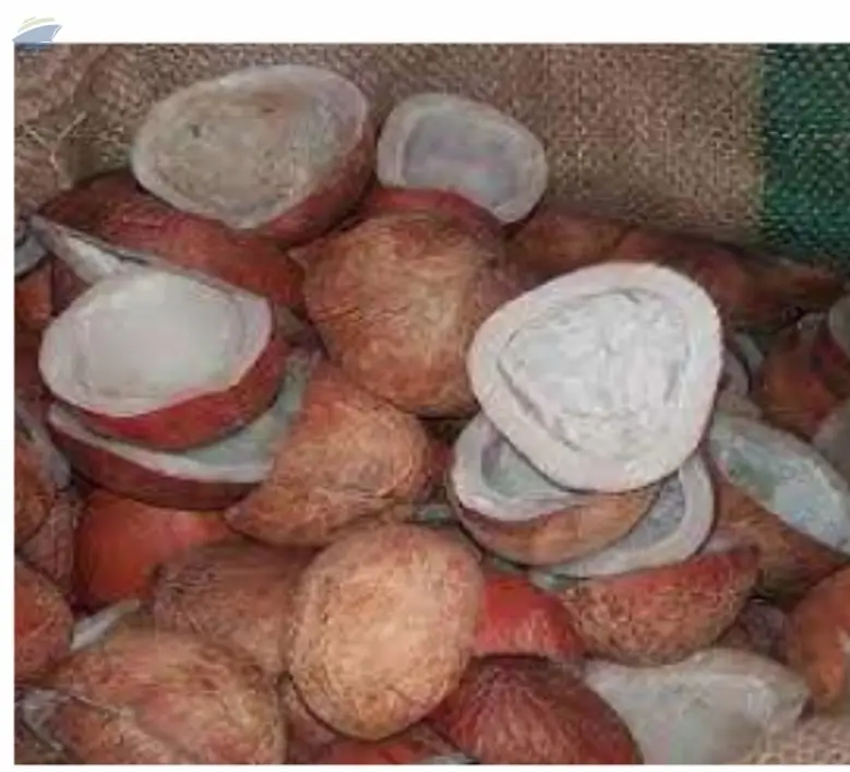Coconut Copra