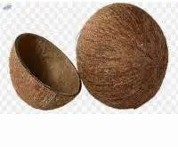 Coconut Shell