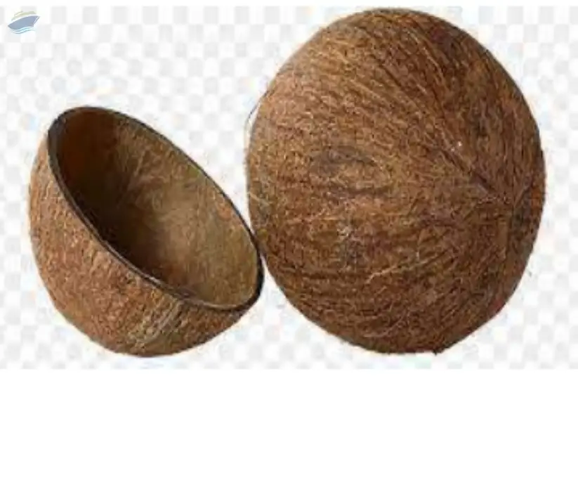 Coconut Shell