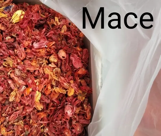 Mace