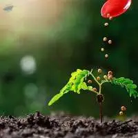 Fertilizers
