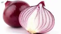 Onion