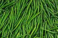 Green chilli