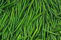 Green chilli