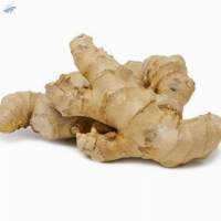 Ginger