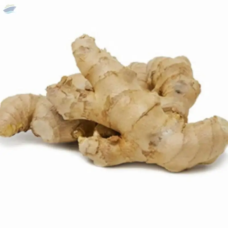 Ginger