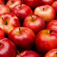 Apples