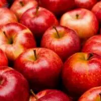 Apples