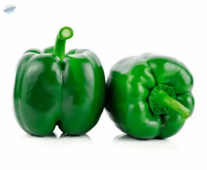 Bell Pepper