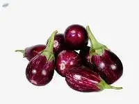 Brinjal