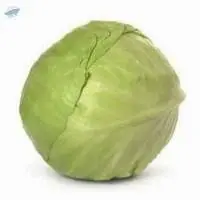 Cabbage