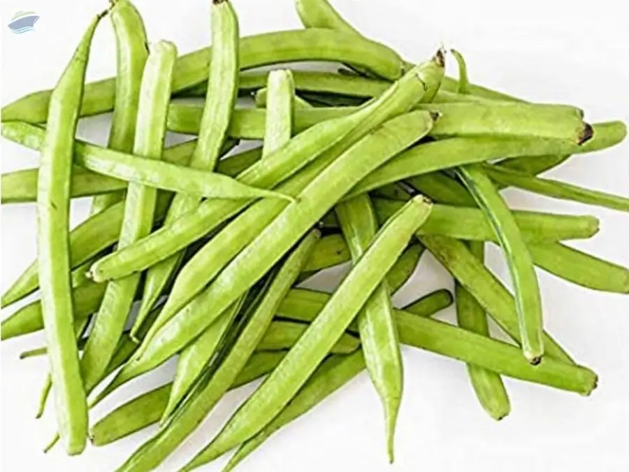 Cluster Beans