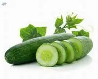 Cucumber
