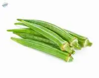 Lady Finger