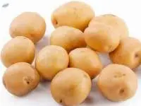 Potato