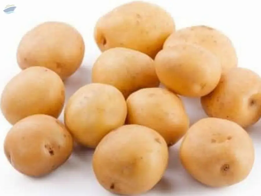 Potato