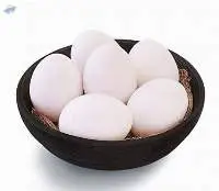 Eggs