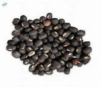 Black Gram