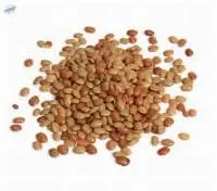 Horse Gram