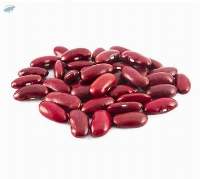 Kidney Bean
