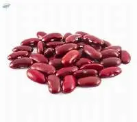 Kidney Bean