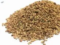 Carom Seeds