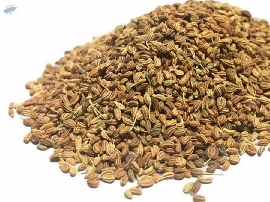 Carom Seeds