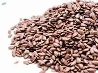 Flax Seeds