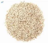 Sesame Seeds