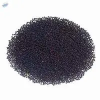 Spring Canola Seeds