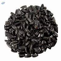 Sunflower Seeds