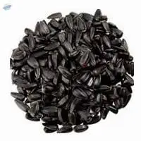 Sunflower Seeds