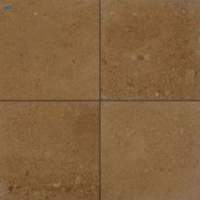 Asian Gold Sandstone