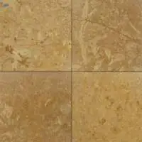 Flowery Gold Sandstone