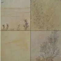 Fossil Mint Sandstone