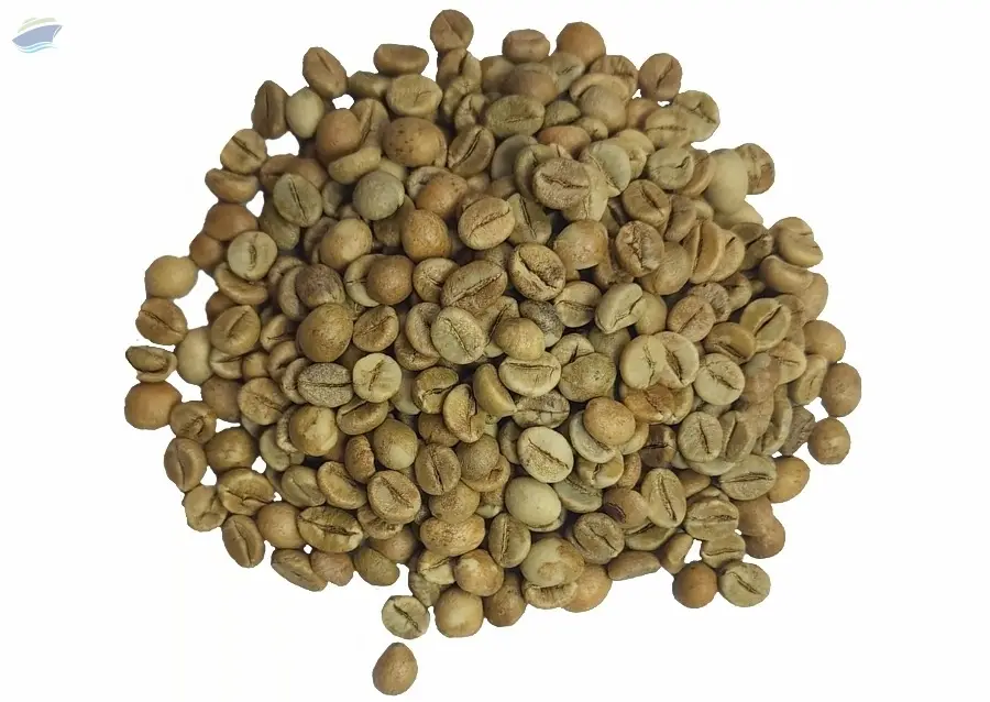 Indian Green Coffee