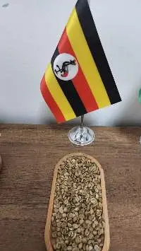 Uganda Coffee