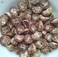 Betel Nuts, Areca Nut