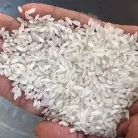 Swarna Raw Rice