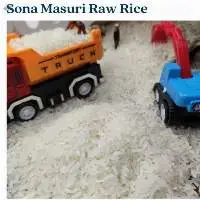 Sona Masuri Raw Rice