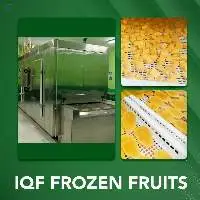 Individually Quick Frozen Mango Halves