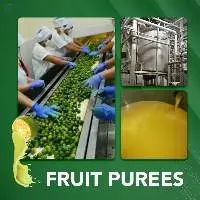Aseptic Calamansi Puree in 25kg Bag