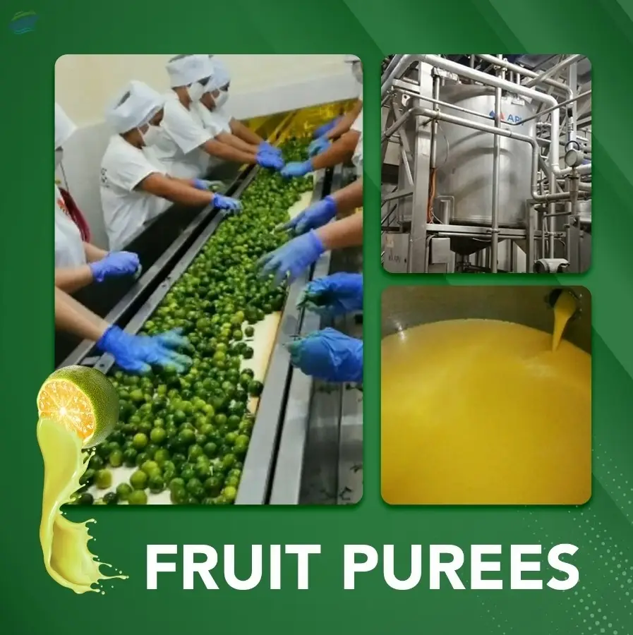 Aseptic Calamansi Puree in 25kg Bag