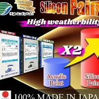 Silicone Paint From Japan