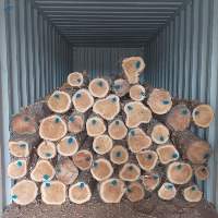 Commercial Teak Wood Logs